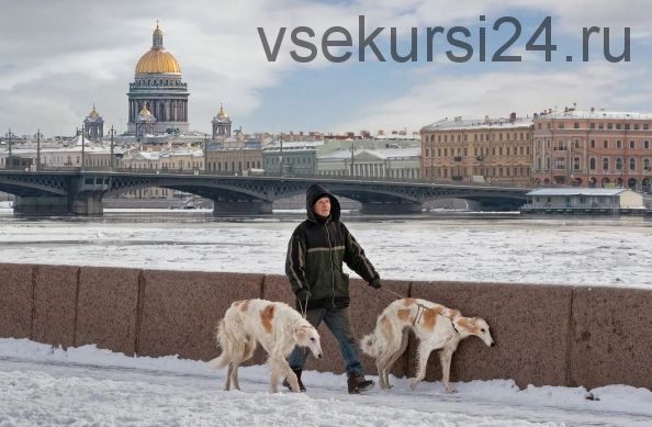 Городография, весна 2021. Лекции в записи с обратной связью (Александр Петросян)