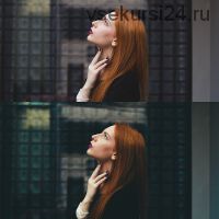 Пресеты Luizclas, 10шт LR, LR mobile DNG (Luiz Claudio)