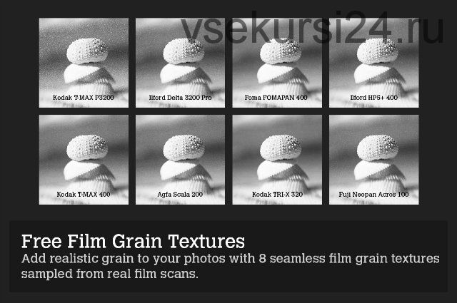 [CreativeMarket] Экшены для Photoshop Silver - 28 Real B&W Film Emulations