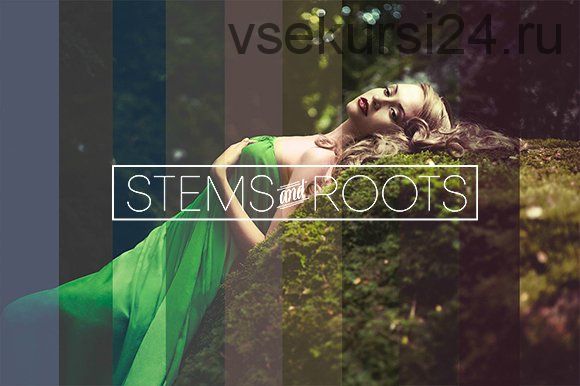 [CreativeMarket] Экшены для Photoshop Stems & Roots Actions