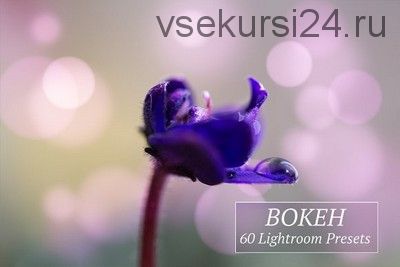 [CreativeMarket] Пресеты Bokeh, Lightroom (Art Planet)