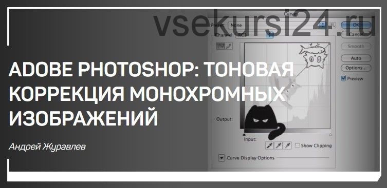 [liveclasses] Adobe Photoshop: тоновая коррекция монохромных изображений (Андрей Журавлев)