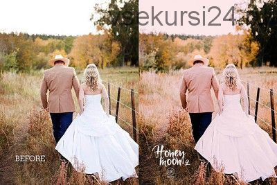 [Presetrain] Коллекция пресетов 22 пака для Lightroom