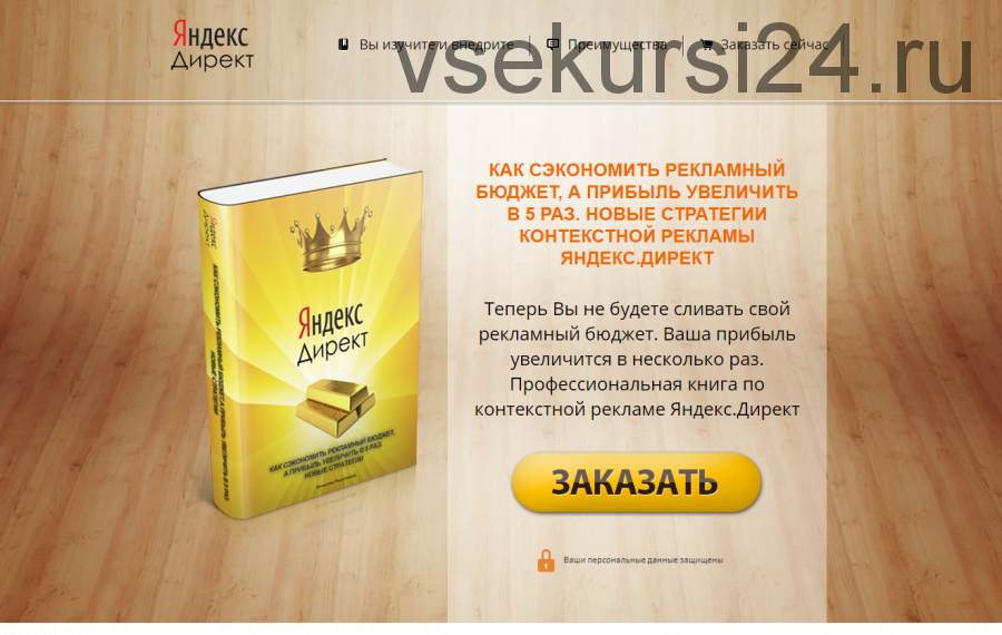 Яндекс Директ: Как сэкономить рекламный бюджет, а прибыль увеличить в 5 раз (Вячеслав Решетников)