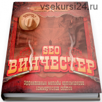 SEO Винчестер, 2014 (Михаил Шакин)