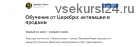 [Церебро Таргет] Активности и продажи (Феликс Зинатуллин)