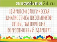 Нейропсихологическая диагностика школьников:пробы,заключение,коррекционный маршрут (Мария Станкевич)