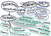 Визуальное мышление: практический курс для детей. Полный курс (Лена Данилова)