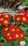 Primula-besstebelnaya-Akkord-Krasnyj-Sedek