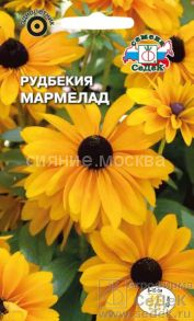 Рудбекия волосистая Мармелад (СеДек)
