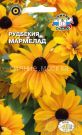 Rudbekiya-volosistaya-Marmelad-SeDek