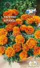 Tagetes-barhatcy-otklonennyj-nizkoroslyj-Kruiz-SeDek