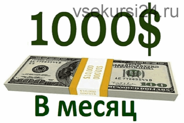 1000 у.е в месяц без технических проблем