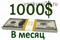 1000 у.е в месяц без технических проблем