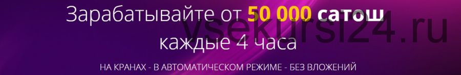 Биткоин Маэстро. От 50 000 сатош каждые 4 часа на полном автомате (Павел Дуглас)