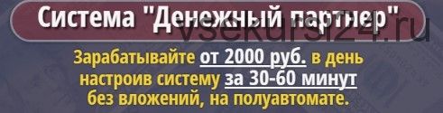 Денежный партнер. Зарабатывайте от 2000 рублей в день на полуавтомате (Александр Громов)