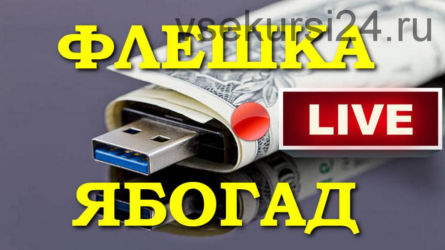 Флешка ябогад - Live. Дополнение к курсу Александра Абесламидзе (Александр Писаревский)