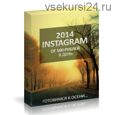 Instagram от 500 рублей в день, 2014