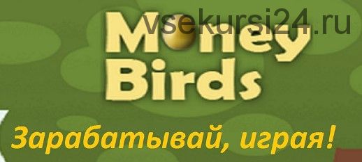 Полное руководство системы привлечения рефералов в игру Money Birds (Роберт Хамидуллин)