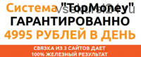 Система «TopMoney»