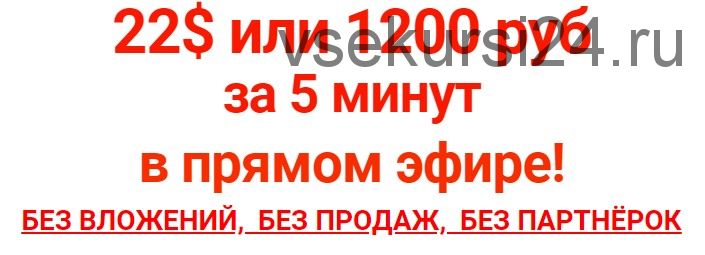 Зарабатывай на одном сервисе, одним действием (Андрей Вебер)