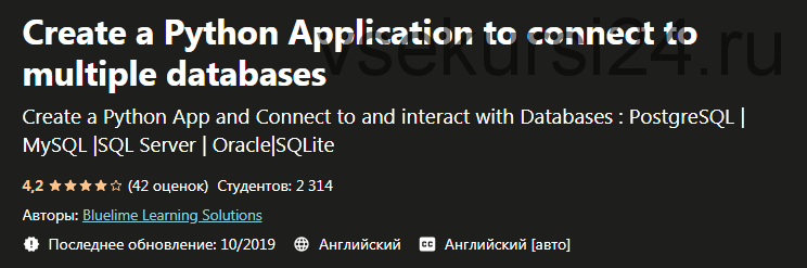 [Udemy] Создайте приложение Python для подключения к нескольким базам данных