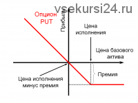 Курс опционной торговли «От простого к сложному» (Станислав Шмелёв-Агинский)