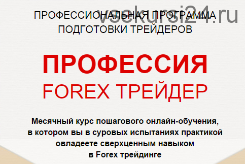 Профессиональный Forex трейдер. STANDART. 2015 (Андрей Оливейра)