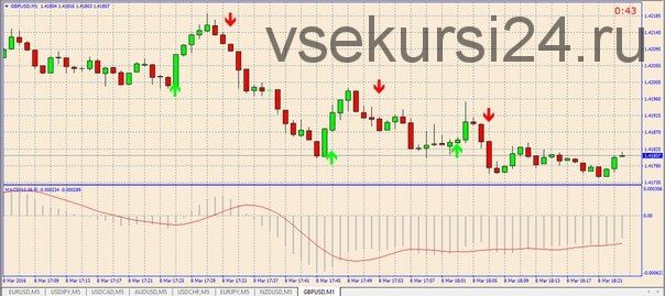 Торговая система SignalMaxIdol