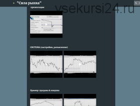 [Universally Trading] Сила рынка (Владимир)