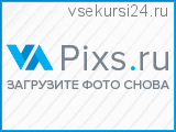 Методика изучения иностранного языка (Денис Шевчук)