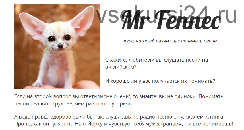 Mr Fennec (Антон Брежестовский)