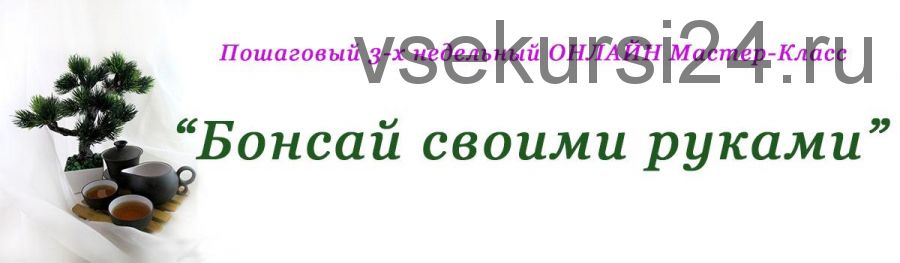 Бонсай своими руками (Юлия Глухова)