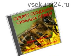 Секреты создания сильных семей (Евгений Романченко)