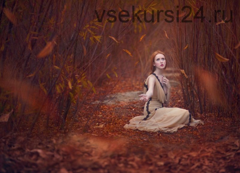 Фотоналожения и экшены. JD Special Effects: Leaf Overlays & Actions (Jessica Drossin)