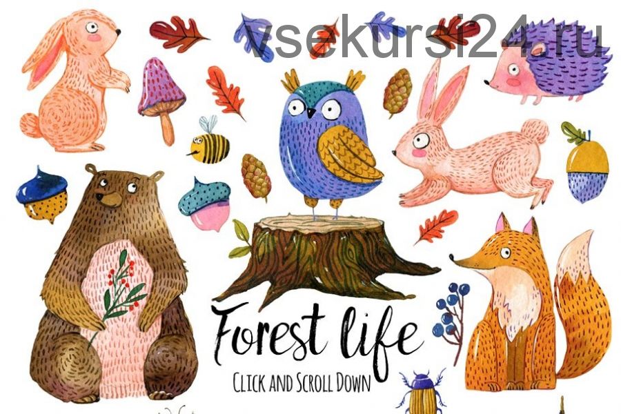 [Creative Market] Cute forest animals set