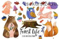 [Creative Market] Cute forest animals set