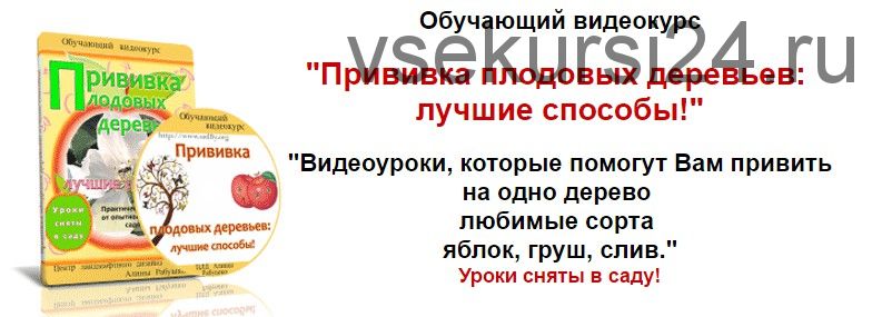 Прививка плодовых деревьев: лучшие способы (Николай Рабушко)