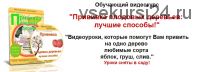 Прививка плодовых деревьев: лучшие способы (Николай Рабушко)