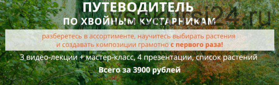 Путеводитель по хвойным кустарникам (Наталья Мягкова)