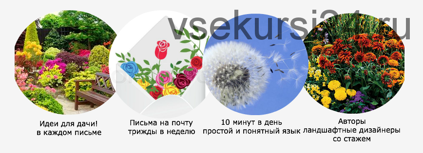 [Ландшафтный дизайн для занятых] Красивая дача за 10 минут в день