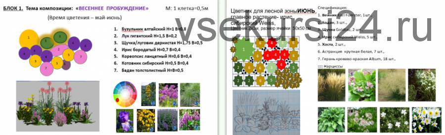 [Сад по-новому] Дымки — модные акценты для цветника. Виды и сорта (Наталья Мягкова)