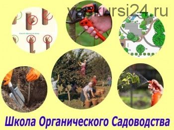 [Земледелие] Базовый курс органического садоводства (Виктор Гуржий)