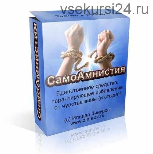 CaмoAмниcтия (Ильдар Зинуров)