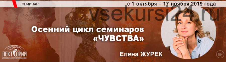 Депрессия. Стадии, симптомы, техники работы [Елена Журек]