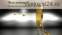 Есть контакт! Системные расстановки на фигурках, МАК, таро (Алена Пляс)
