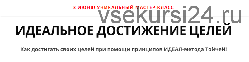 Идеальное достижение целей. Пакет - Делатель (Андрей Цыганков)