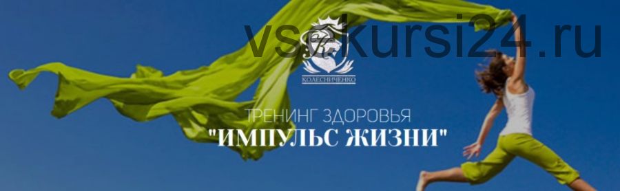 Импульс жизни. Уровень 1. Глобальная уборка психосоматики (Константин Колесниченко)