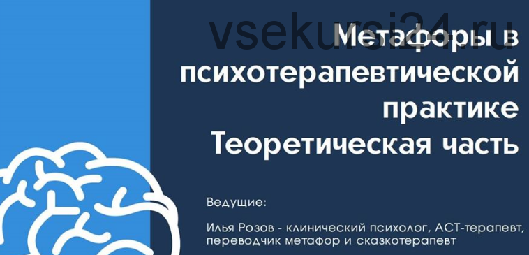 Метафоры в психотерапевтической практике (Илья Розов)