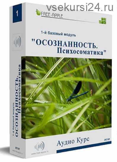 Осознанность. Психосоматика. 1-й базовый модуль (Екатерина Шморгун)